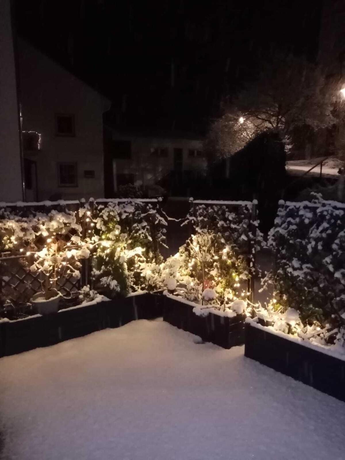 Hotel Zur Mosel Minheim Esterno foto